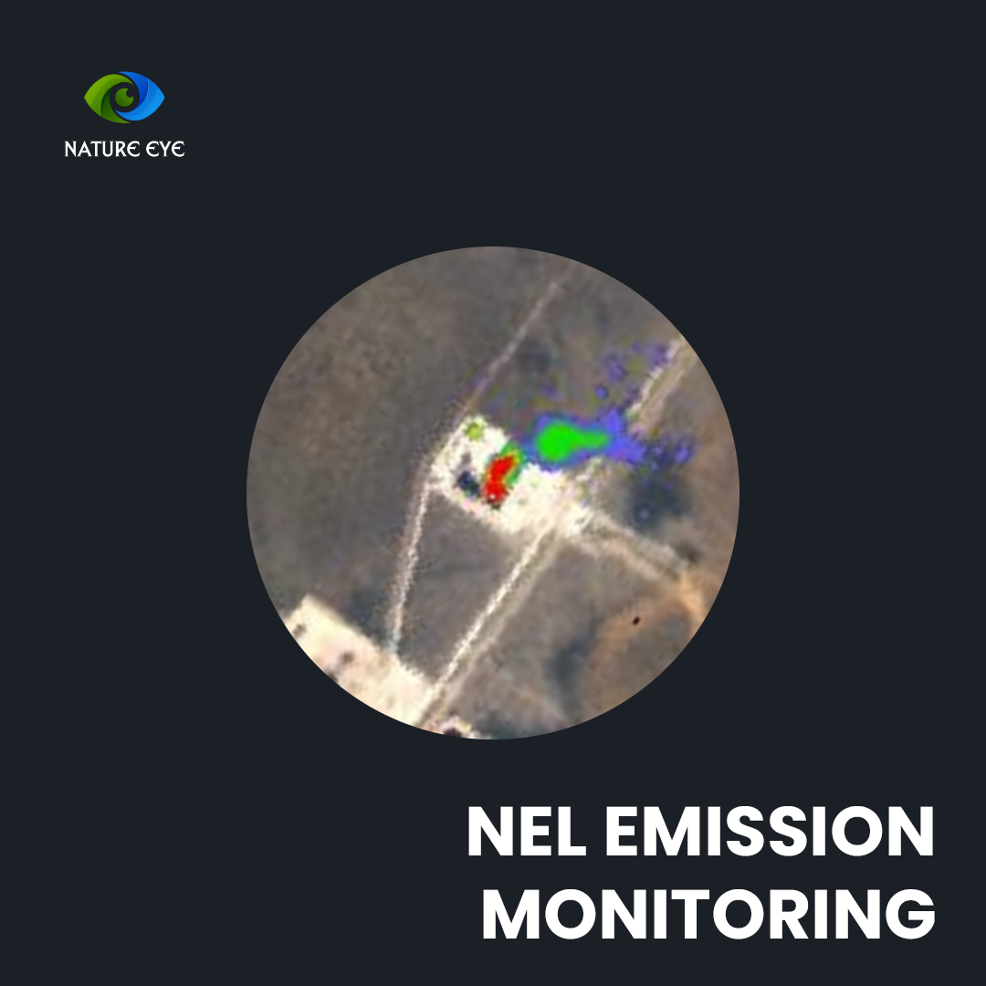 Natural Assets Monitoring